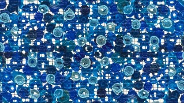 Exposition "Conscience Plastique"