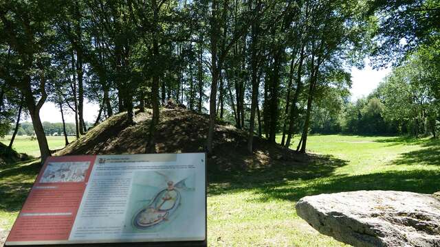 Mottes castrales de l'an Mil