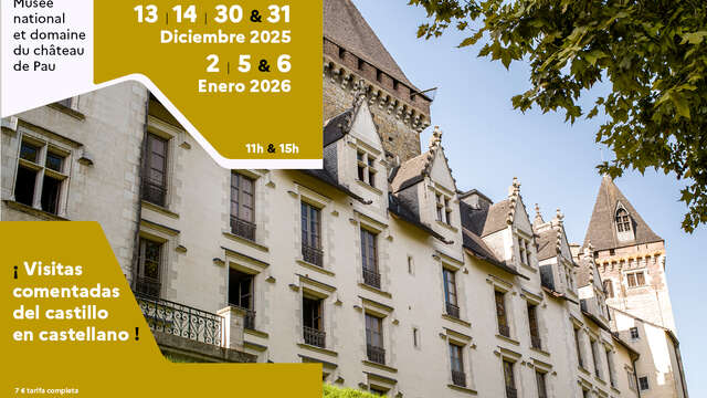 Visita en castellano