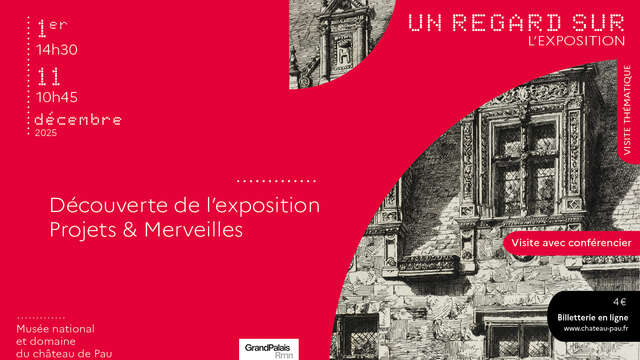 Un regard sur les collections