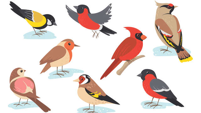 Exposition photos animalières à la bibliothèque de Souvigné