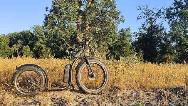 Découvrir Pontenx en côtoyant les eucalyptus, chênes et pins maritime tout en longeant le courant des Forges.