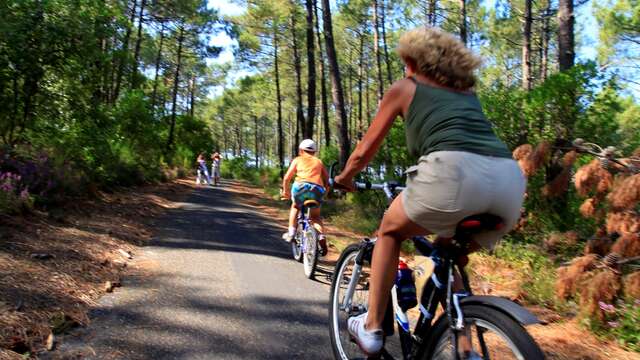Vélodyssée - Piste cyclable des Dunes