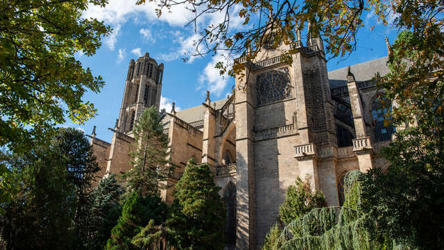 Visite guidée - Cathédrale Saint-Etienne
