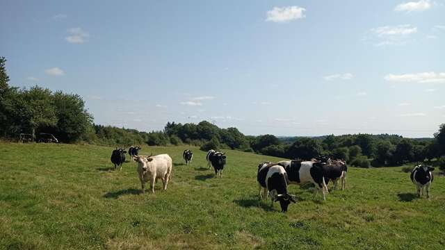 La Ferme collective de la Tournerie fête ses 10 ans : Visites guidées de la ferme