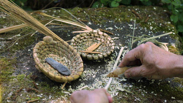 Stage de vannerie sauvage