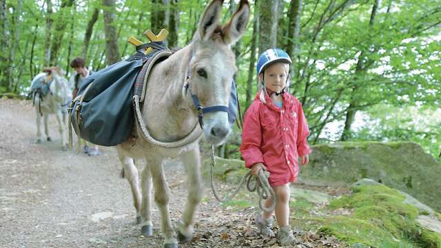 Ferme pédagogique Les Ânes de Vassivière