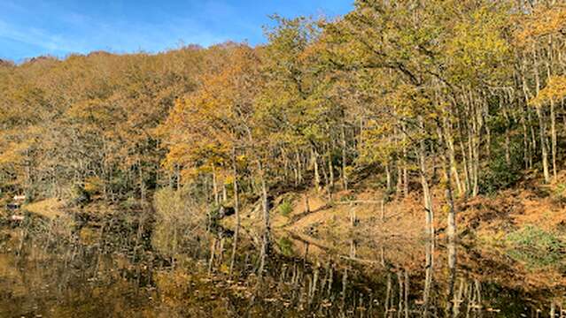 Parcours Pêche Carpe de nuit du lac de barrage de l'Artige