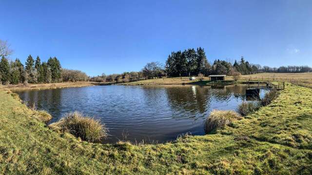 Carpodrome, Le Rochelot