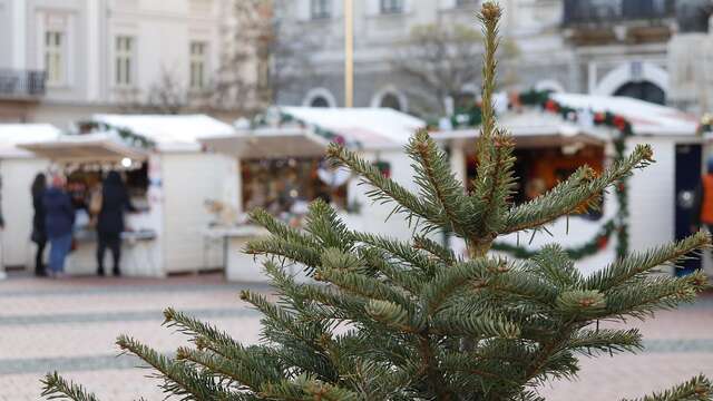 Marché de Noël à Rochechouart