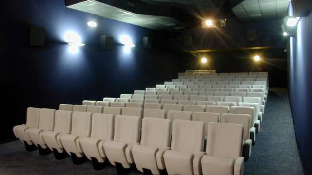 Ciné-concert : Le carnaval de la petite taupe