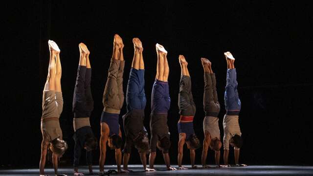 Le complexe de l'autruche