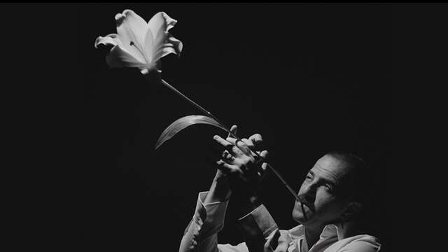 Avishan Cohen