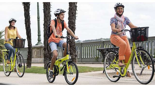 IDEcycle