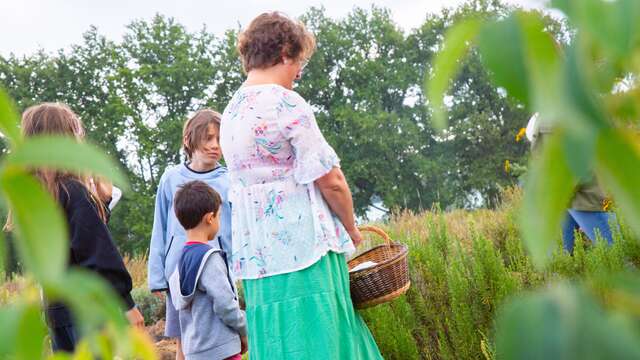 Découvrez les plantes médicinales et fabriquez votre savon à La Ferme de Fardissou