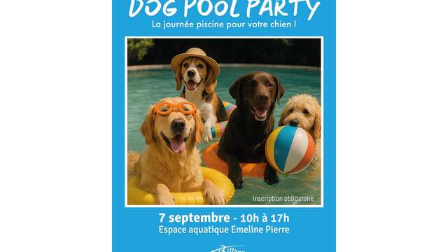 Dog Party