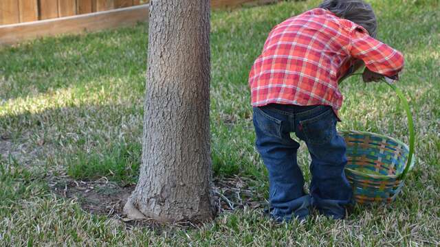 Chasse aux oeufs de Pâques