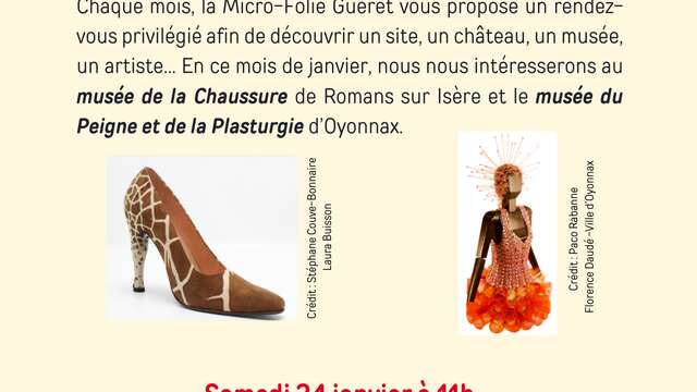Focus On musée de la Chaussure et musée du Peigne et de la Plasturgie