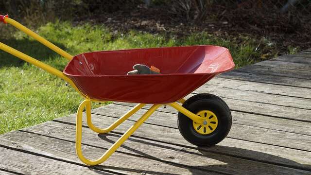 Atelier : Savez-vous planter les ... ?