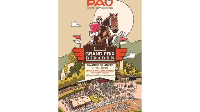 Courses Hippodrome de Pau - Grand Prix Biraben