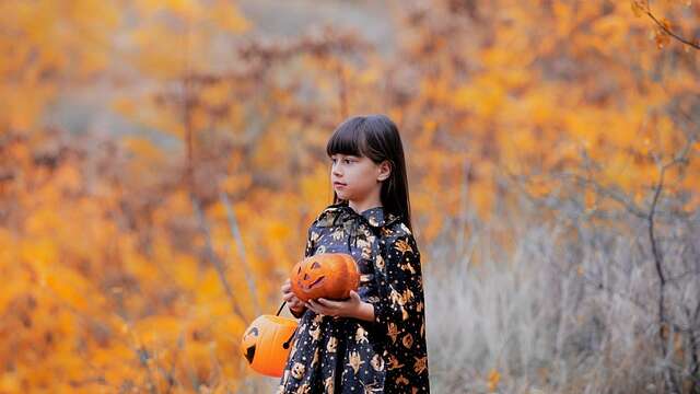 Ateliers creusage de citrouilles et maquillages Halloween au Zoo du Reynou