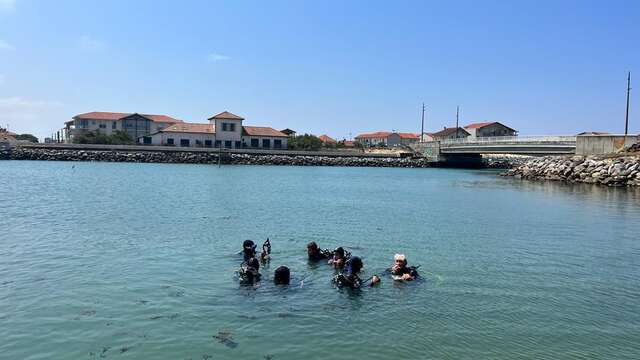 Baptême de plongée sous marine au Courant