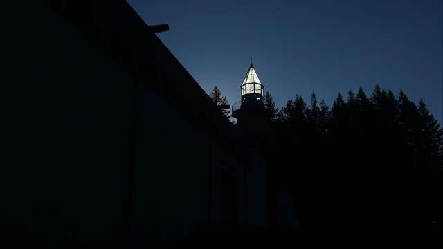 Les Nuits de la lecture