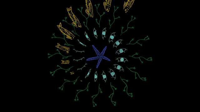 Ciné-sonore : J'ai tant rêvé de toi