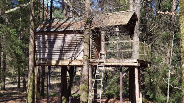 Cabane dans les arbres de la Ferme de Vassivière