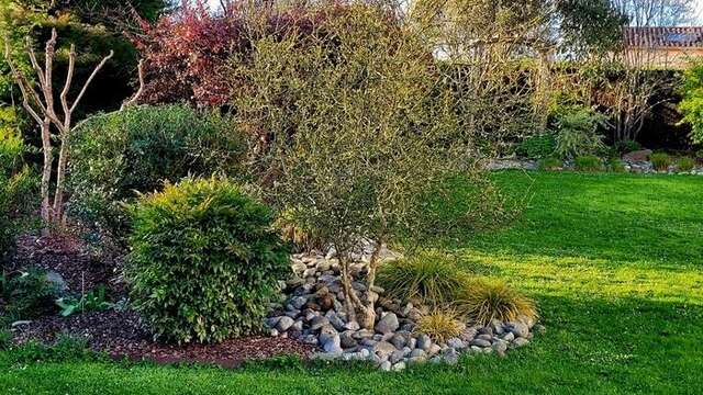 Jardin de LMG - Rendez-vous aux jardins