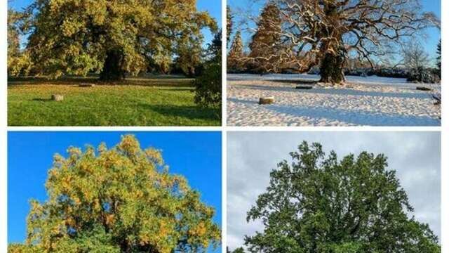 Jardin de Lessines - Rendez-vous aux jardins