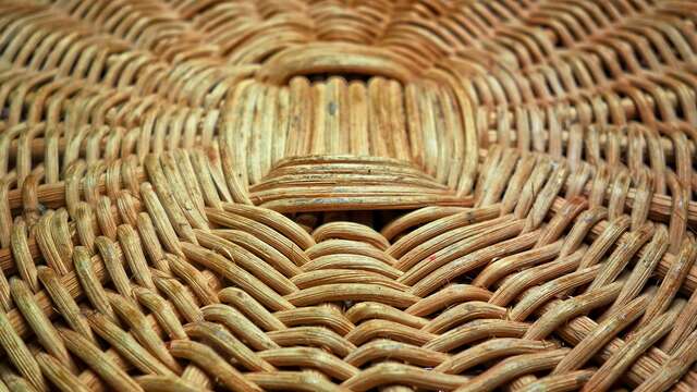 Stage : corbeille casse-noix