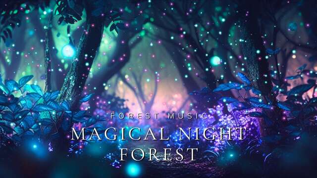 Concert : "NOCTURNE" un concert immersif en pleine nature