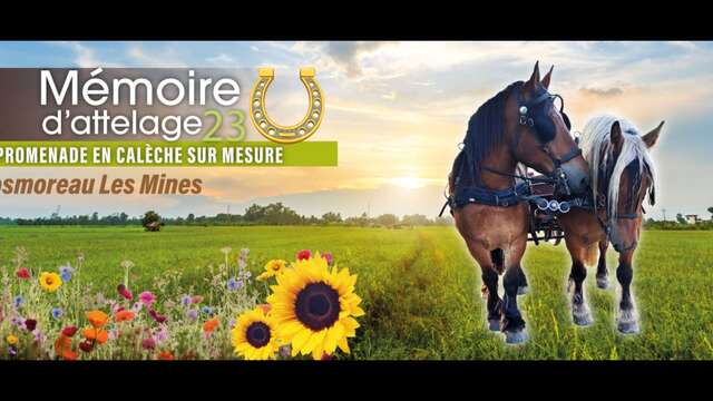 Promenade en calèche