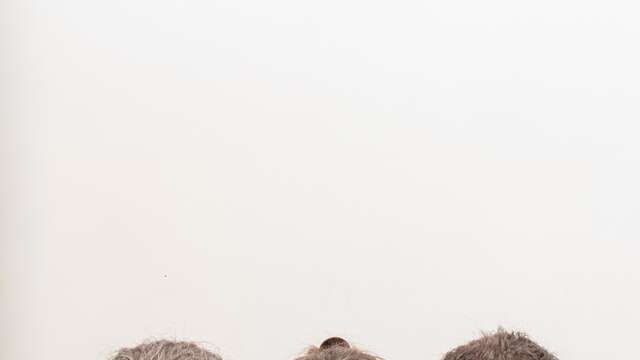 Mets un pull, ta mère a froid