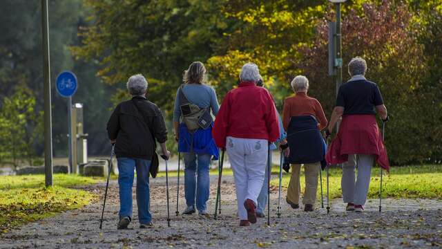 Marche solidaire