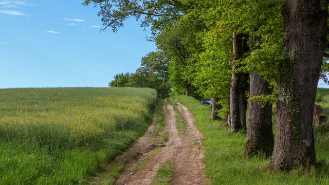 Les Hauts d'Oradour
