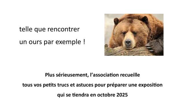 CRAC  : Collecte petits trucs et astuces