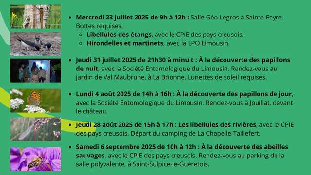 Les libellules des rivières