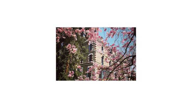 Le printemps c'est maintenant !