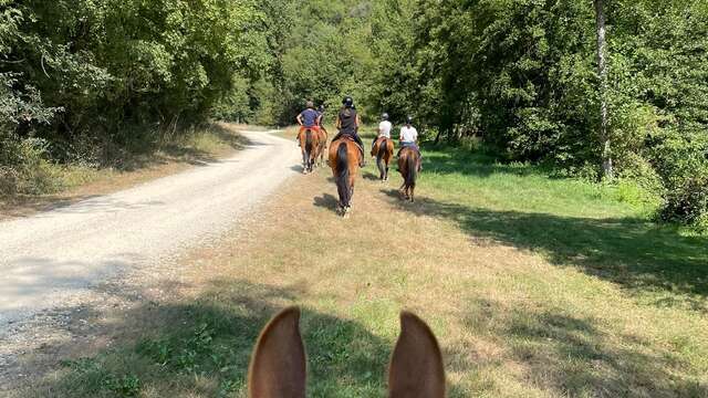 Centre Equestre de Beausoleil