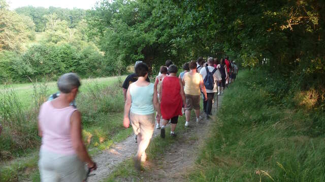 Randonnée avec Les Godillots de St Marc