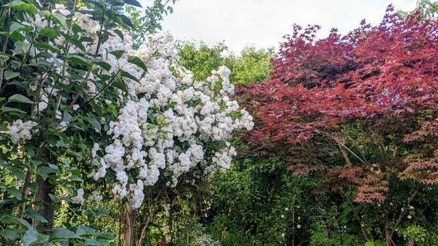 Jardin aux oiseaux (parcours sensoriel) - Rendez-vous aux jardins