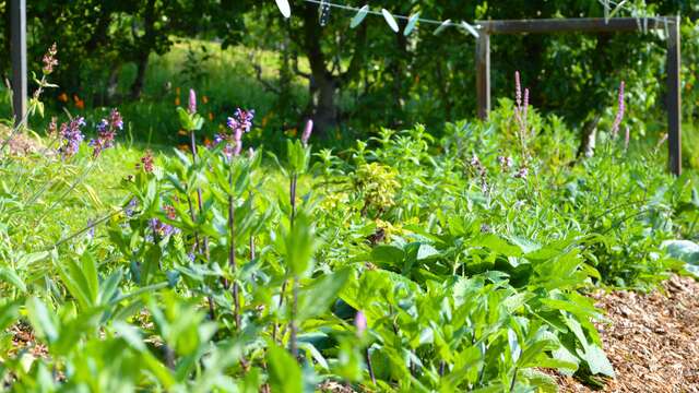 Visite libre du Jardin des Sens - Rendez-vous aux Jardins
