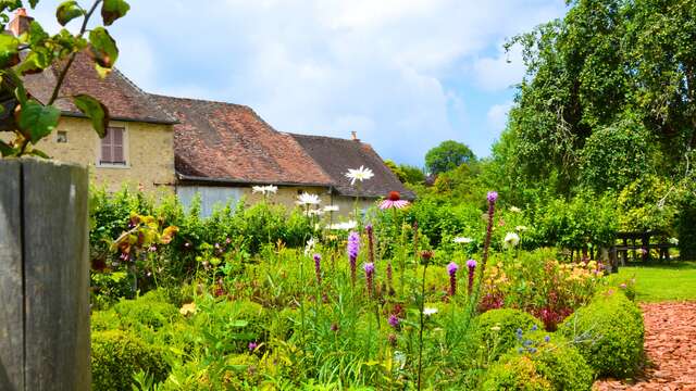 Visite libre du Jardin de l'An Mil à nos jours - Rendez-vous aux jardins