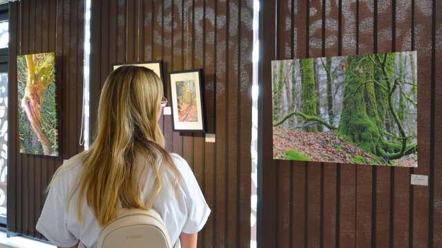Exposition - Nos villages en images, notre territoire en lumière