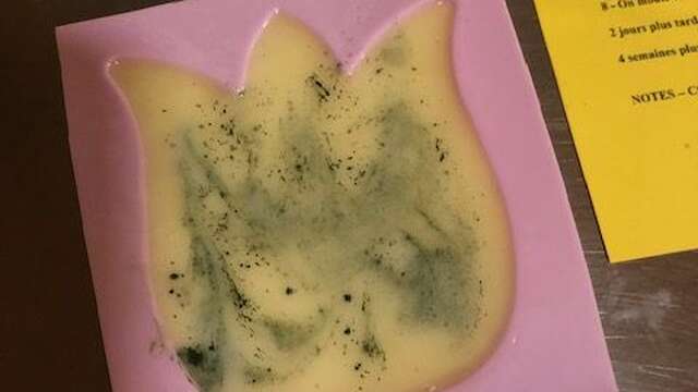 Visite et Atelier : Découvrez les plantes médicinales et fabriquez votre savon