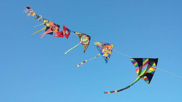 Etang de Chaux : Animations famille