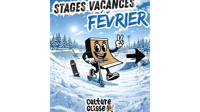 Stage skate Culture glisse
