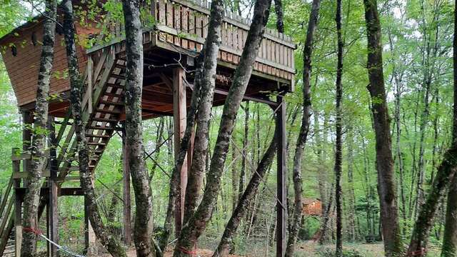 Cabane dans les arbres - L'Augis Nature